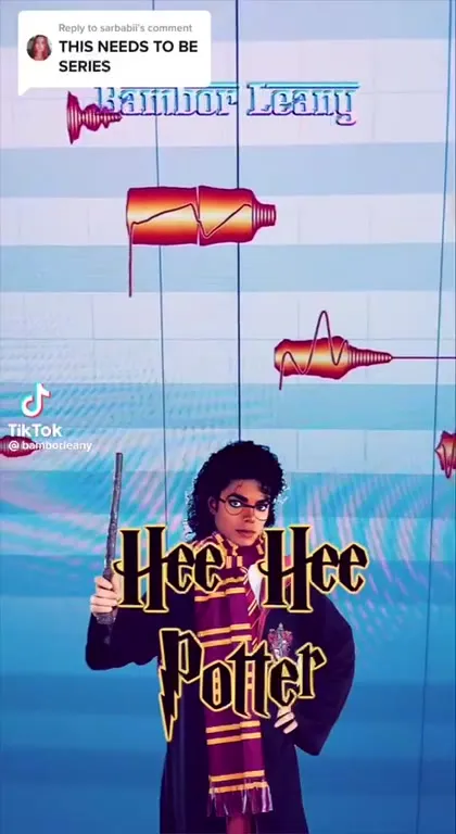 Harry Hee Potter Soundwave
