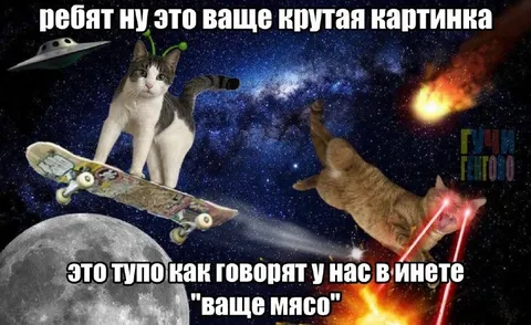 Коты говорят «ваще мясо»