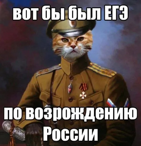 Кот за возрождение России