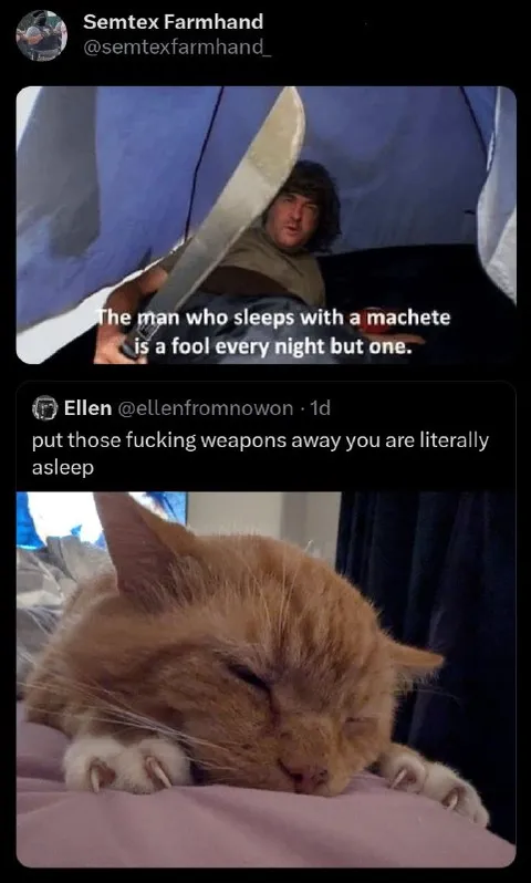 Sleeping With Weapons