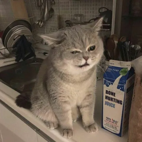 Cat With Bone Hurting Juice