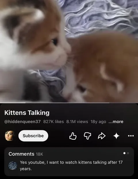 Kittens Talking After 17 Years