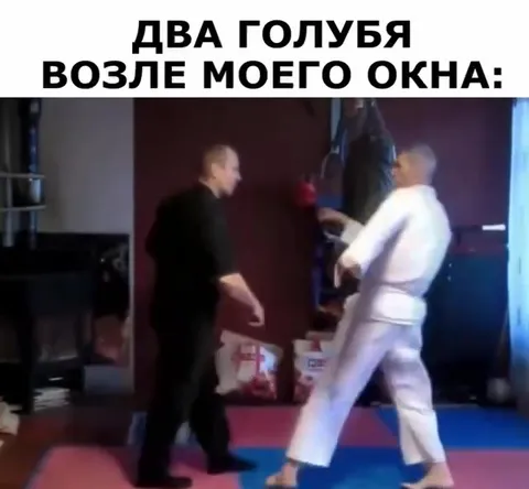Два голубя возле окна