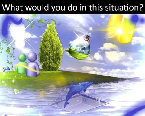 What Would You Do Here?