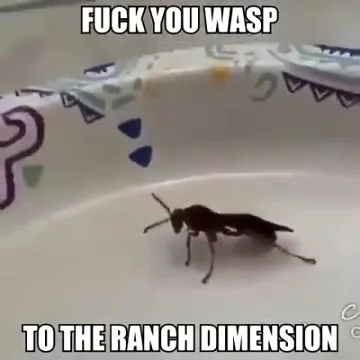 Wasp Sent to the Ranch Dimension
