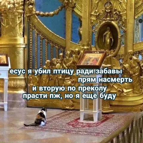 Кот просит прощения у Иисуса