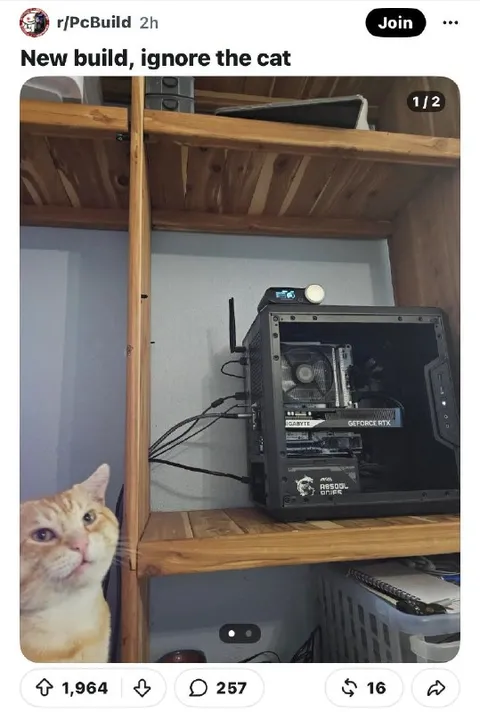 New PC Build, Ignore the Cat