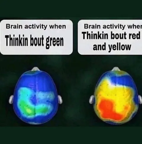 Brain Activity Thinking About Colors