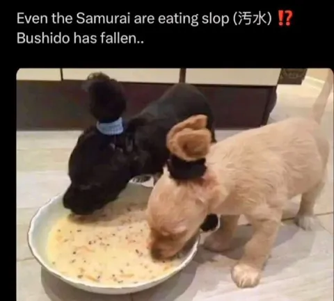 Even Samurai Eat Slop