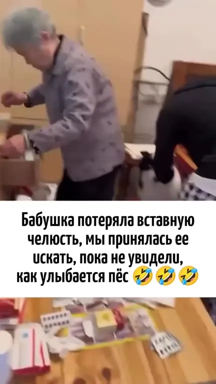 Бабушка нашла челюсть у пса