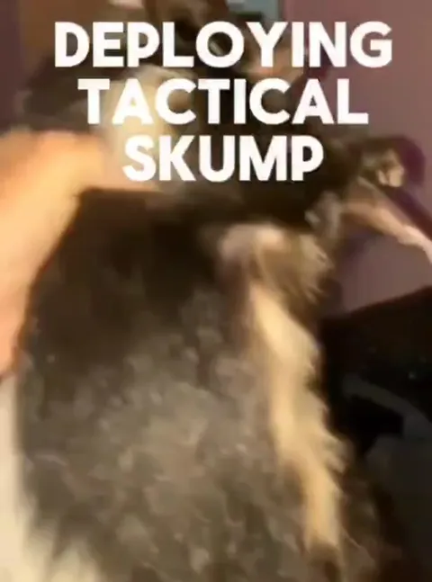 Deploying Tactical Skump