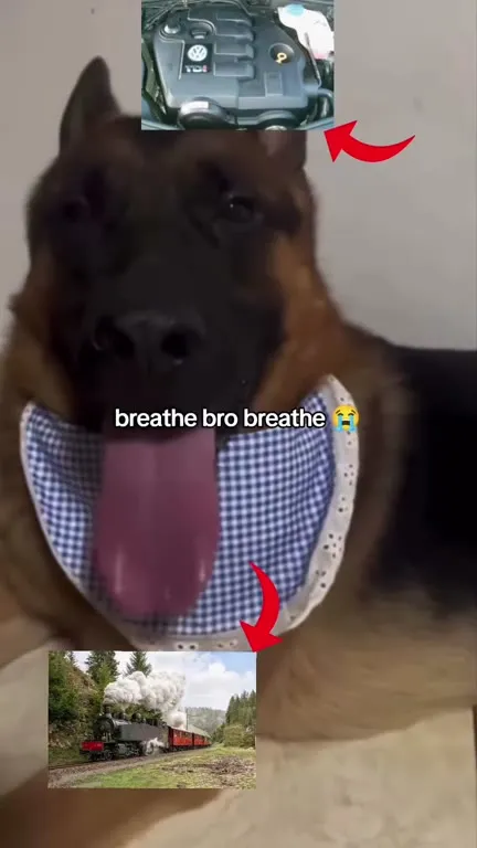 Breathe Bro Breathe