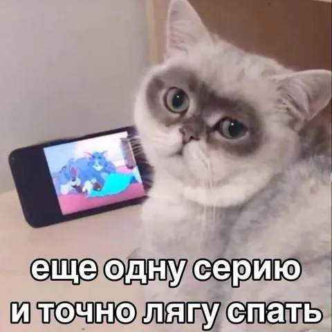 Ещё одну серию и спать