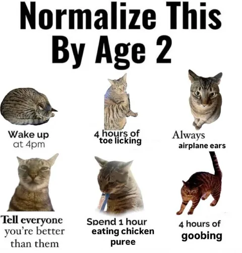 Normalize This By Age 2 Cats