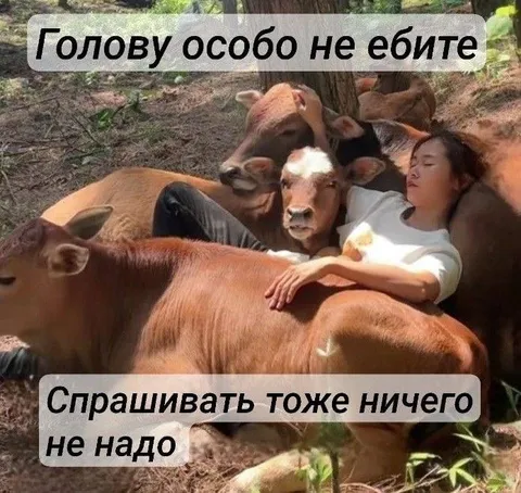 Не задавай лишних вопросов