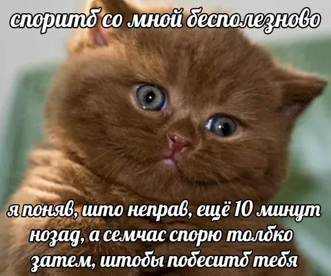 Спорю, чтобы победить