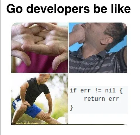 Go Developers Be Like Error Handling