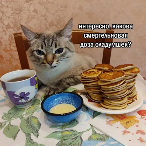 Смертельная доза оладушек
