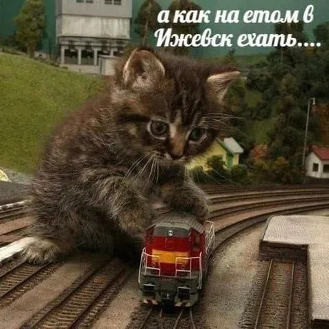 Как на этом в Ижевск ехать
