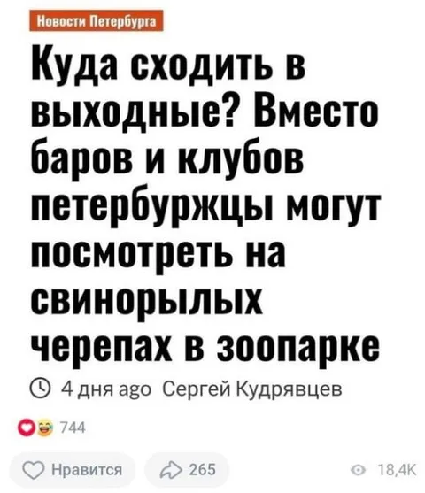 Свинорылые черепахи в зоопарке
