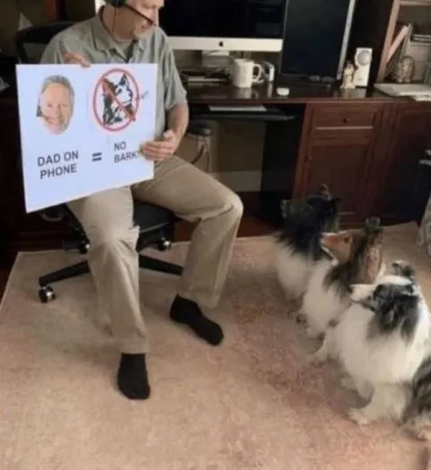 Dad on Phone No Barking