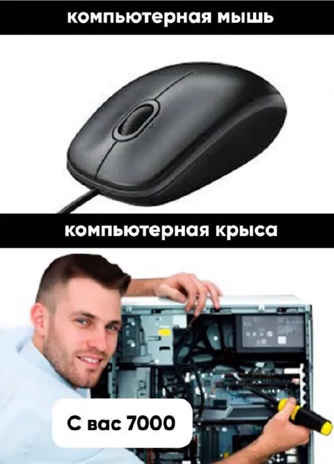 Компьютерная мышь и крыса