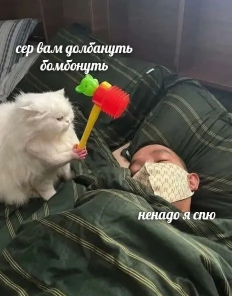Не надо, я сплю