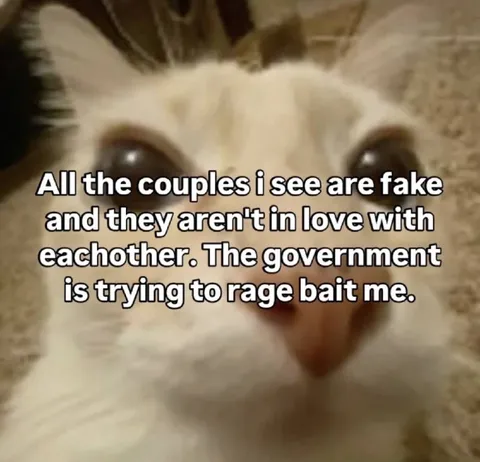 Government Fake Couple Conspiracy Cat