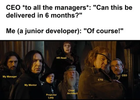 Junior Developer Promises Six Months