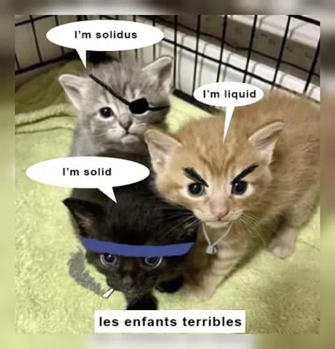 Three Terrible Kitten Personalities
