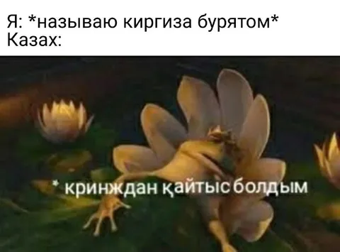 Казах умер от кринжа