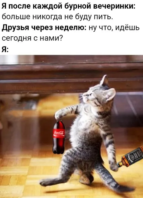 После каждой бурной вечеринки