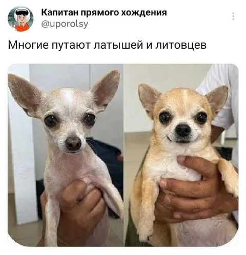 Путают латышей и литовцев
