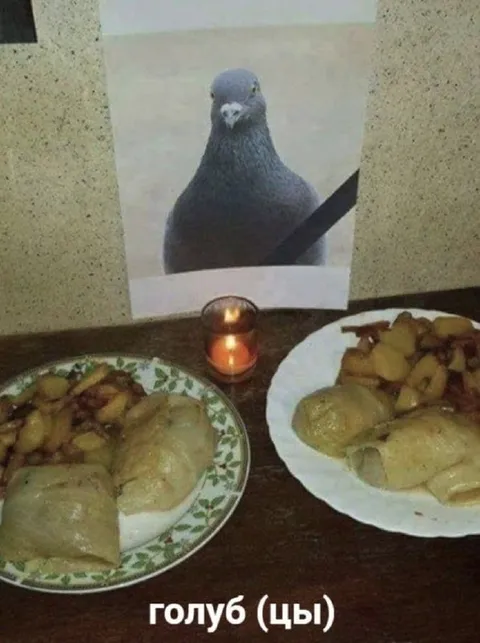 Голуб и голубцы