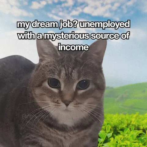 Unemployed With Mysterious Income
