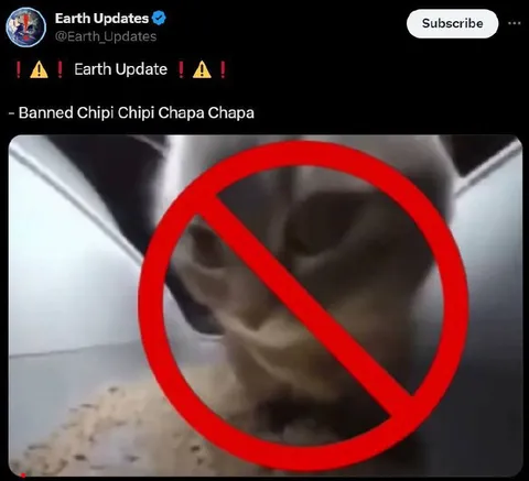 Banned Chipi Chipi Chapa Chapa
