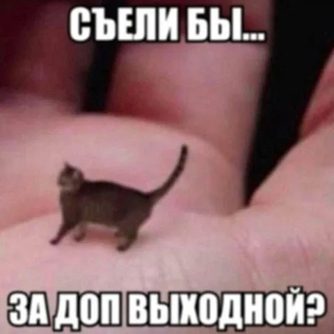 Съели бы за доп выходной