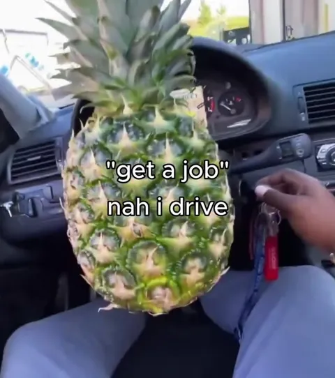 Get a Job? Nah, I Drive
