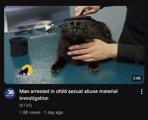 Cat Under a Disturbing Headline