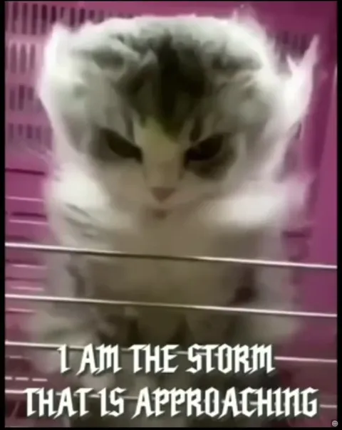 Storm Cat Approaching