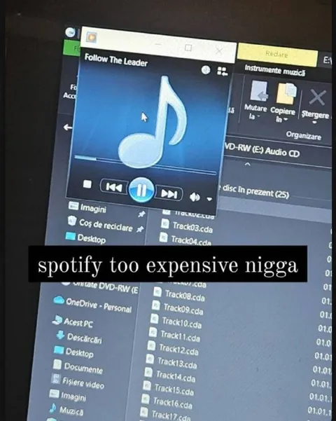 Spotify Too Expensive