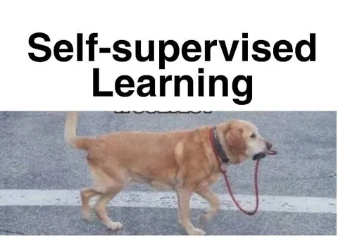 Self-Supervised Learning Dog
