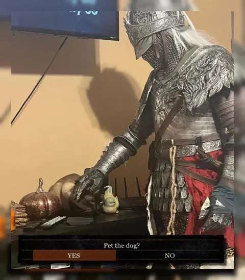 Pet the Dog? Yes or No