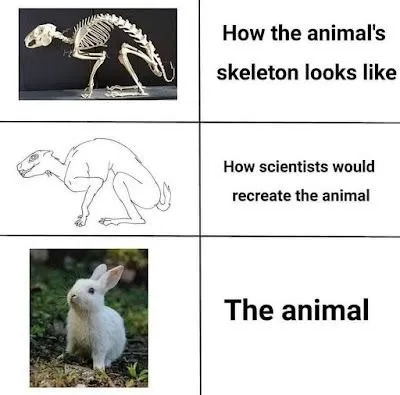 How Scientists Recreate Animals
