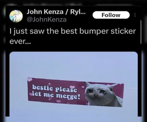 Bestie Please Let Me Merge