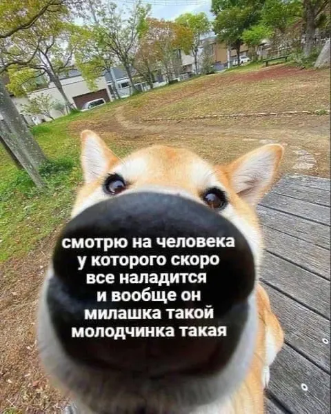 Смотрю на человека, у которого всё наладится