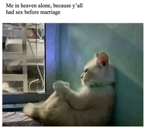 Cat Alone in Heaven