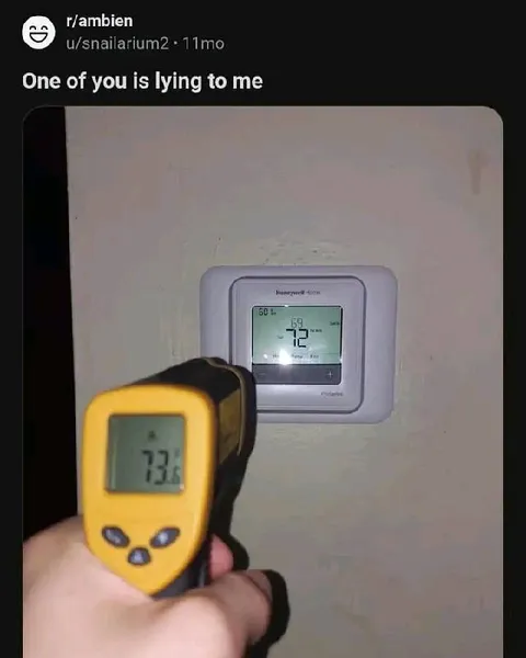 One of You Is Lying
