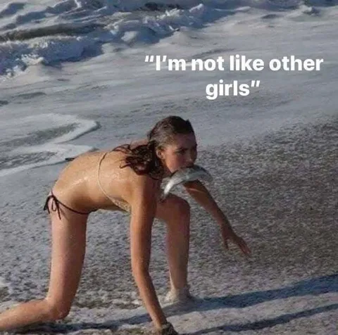 I'm Not Like Other Girls Beach Meme