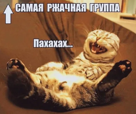 Самая ржачная группа